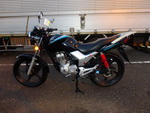     Honda CBF125 2012  11